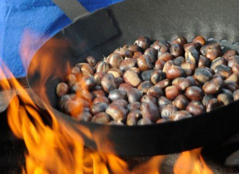 Bunte Herbstwochen 7=6