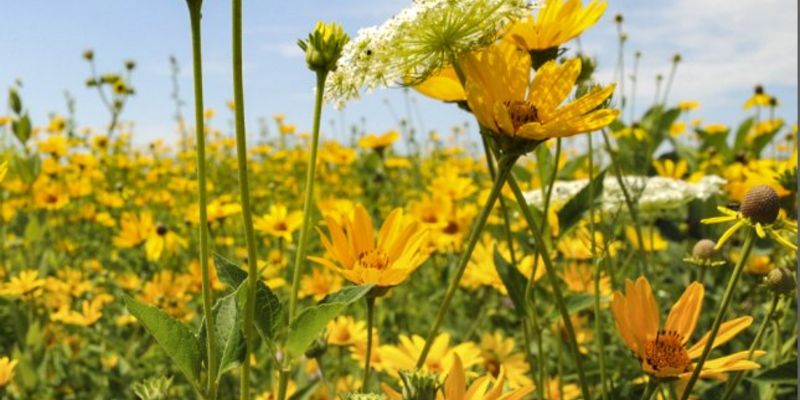 Frühlings-Genießerwoche 7=6