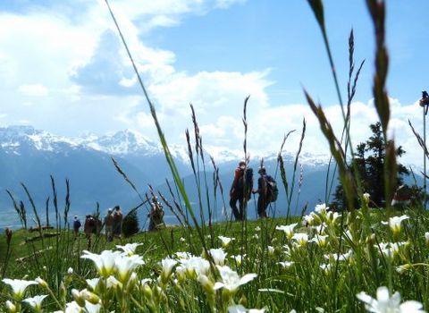 Happy Spring Feeling