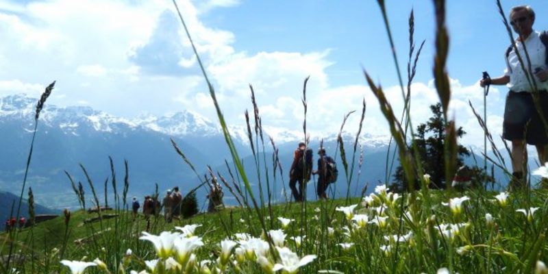 Happy Spring Feeling