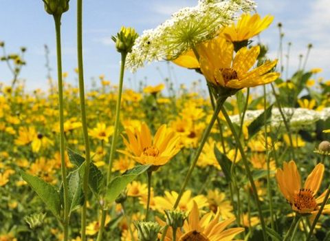 Frühlings-Genießerwoche 7=6